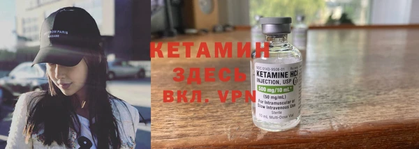 индика Алексин