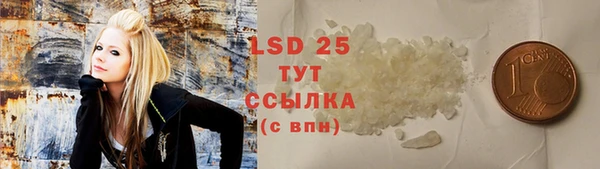 индика Алексин
