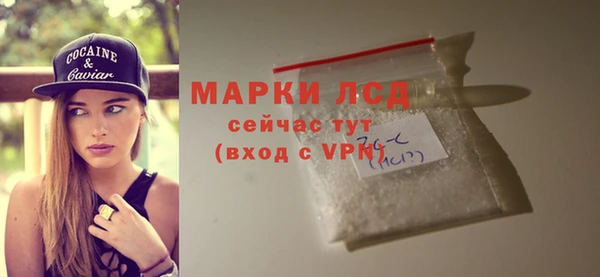 индика Алексин