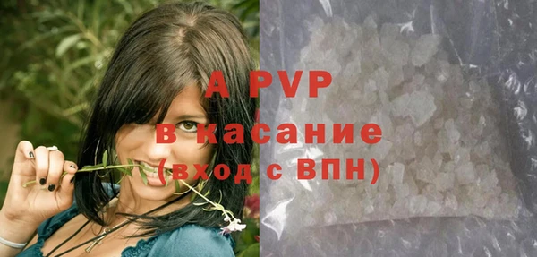 индика Алексин