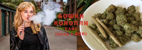 PSILOCYBIN Алзамай