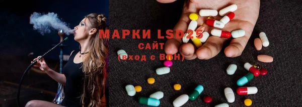PSILOCYBIN Алзамай
