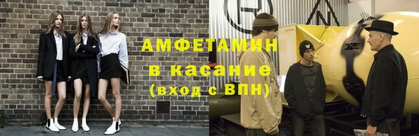 индика Алексин
