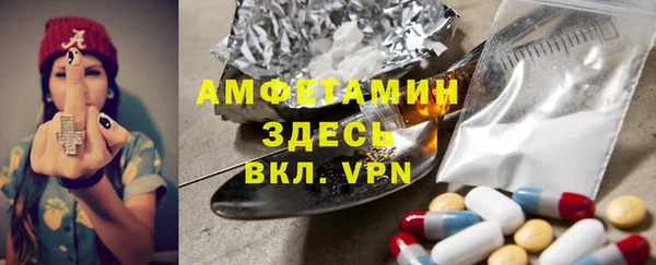 индика Алексин